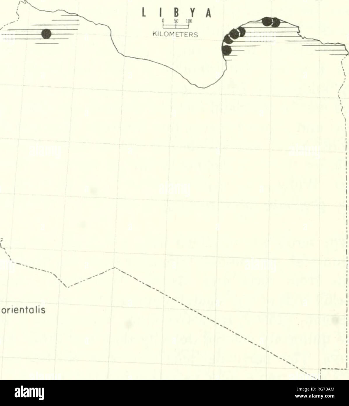 Wheelus air force base hires stock photography and images Alamy