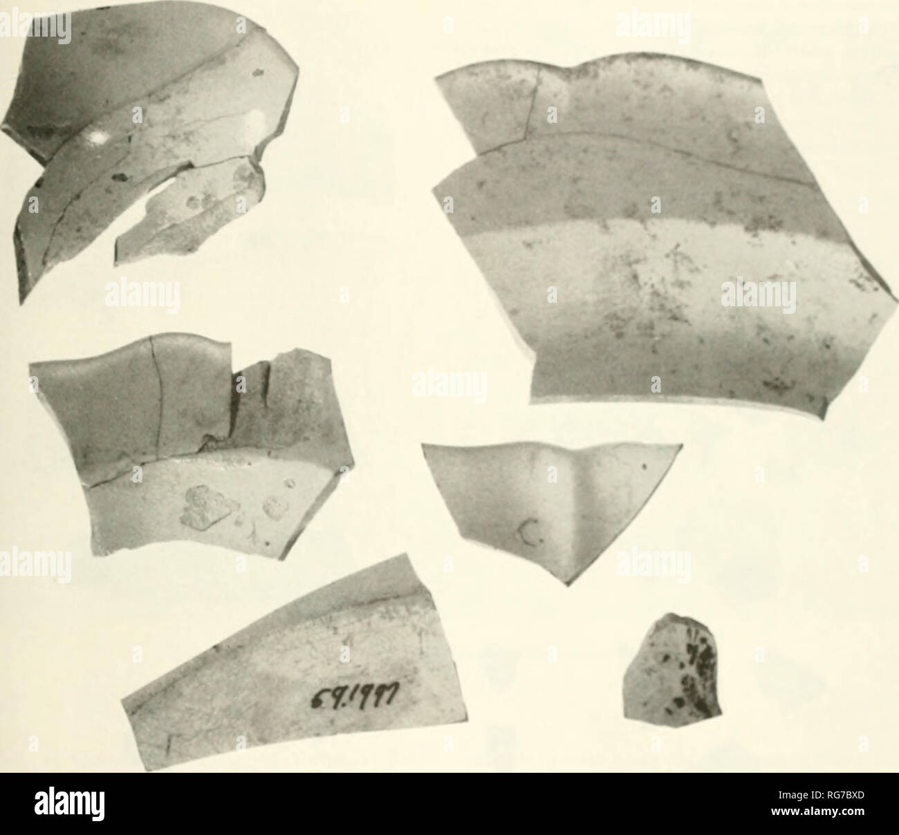 . Bulletin - United States National Museum. Science. Figure 72.âQi'f:F.NSvARK, about IH(I0. come three meager sherds of marbled ware, probably from three difTerent vessels (ITSNM 59.1(.23. ')9.1748, 59.1851). They are brownish red with white veining under an amber lead glaze. A posset pot of these colors ill the 'ictoria and Albert Museum is supposed, by Rackham, to date from about 1 740.'&quot; Bi.ACK-GL.ZED FINE REDWARE.âWhieldoti made a black-blazed, fine rcdware, as did Maurice Thurslield at Jackfield in Shropshire.'** A fragnjcnt of a bl.ick- glazed teapot handle was found at MarllHiro Stock Photo