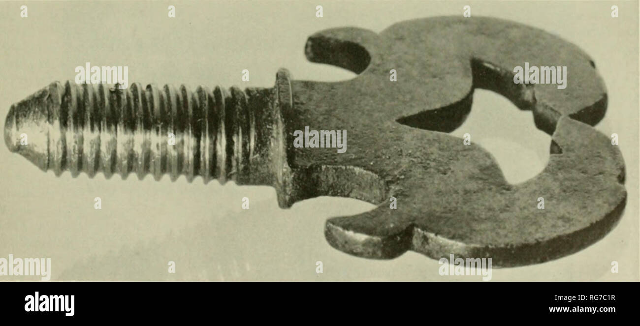 . Bulletin - United States National Museum. Science. 'igure 7 Inn u 01 M' 'in RN I' &gt;u I i cut. using the old screw anil mil hul with a m-w tool. I he material threaded i~ carl - steel drill rod Smithsonian photo m.1 r6 . Figure 8. Binding si rj w seen at  in figure 3, showing the long smooth fadeout of the thread below the shoulder. (Smithsonian photo (9276.) PAPER 37: SCREW-THREAD it [TING BY THE MASTKR-SCRKW Ml Ill. Please note that these images are extracted from scanned page images that may have been digitally enhanced for readability - coloration and appearance of these illustrati Stock Photo