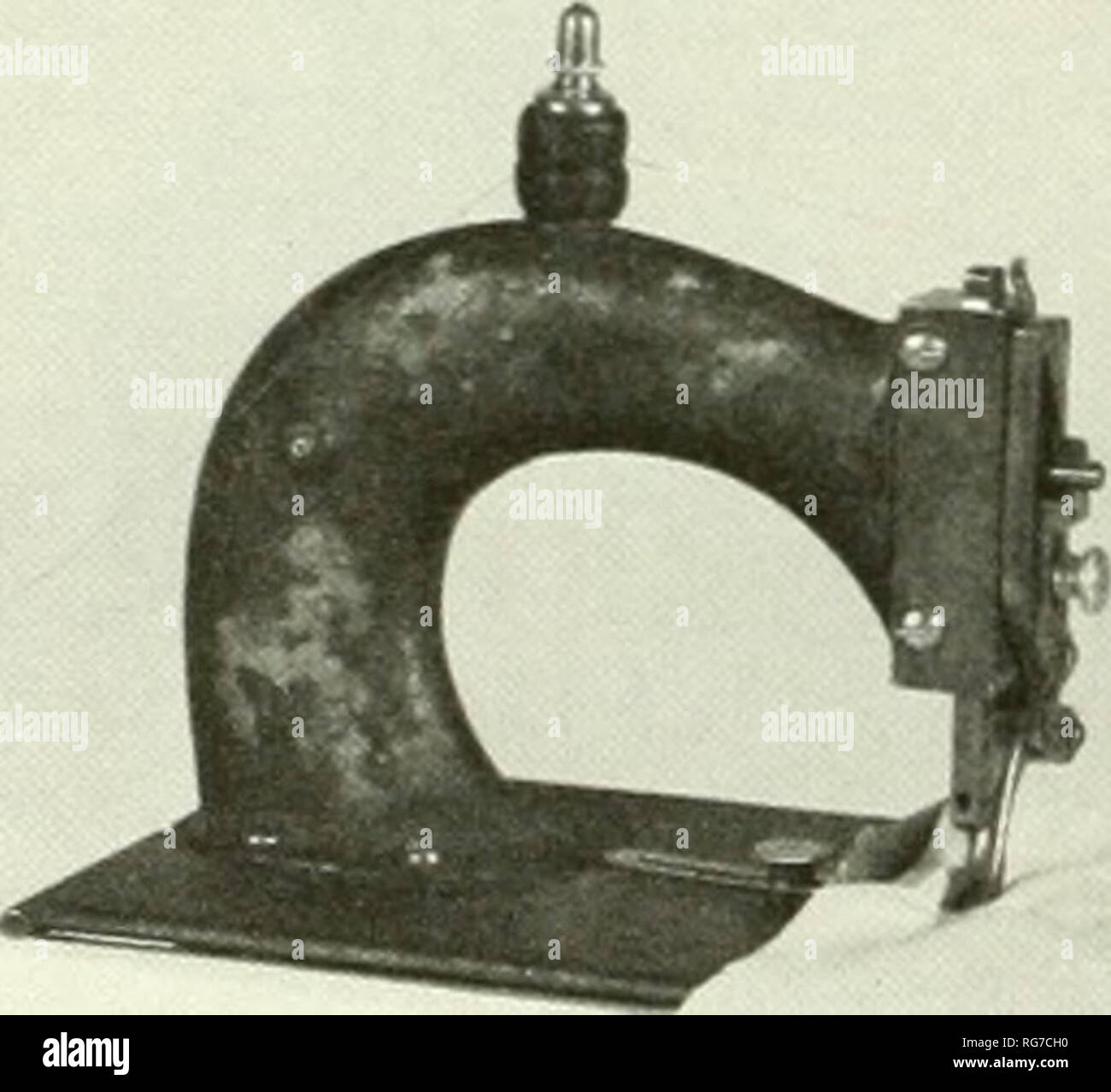 . Bulletin United States National Museum. Science. Figure 75