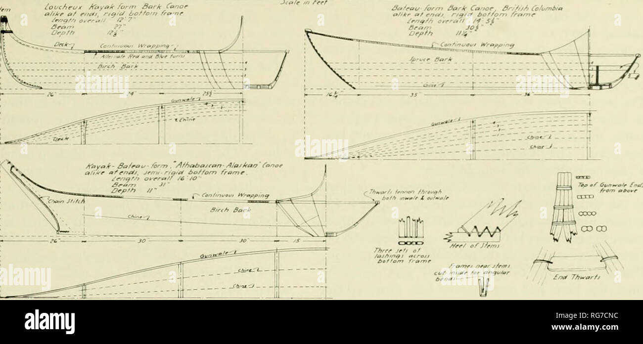 . Bulletin United States National Museum. Science. Smt T/tt^arfj