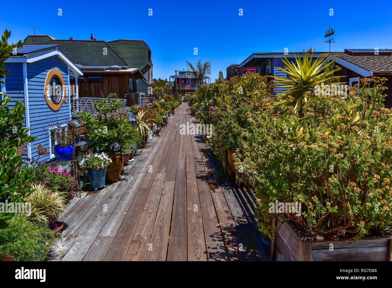 Colorful passage decorated with pot plants in a houseboats community in Sausalito, San Francisco bay, USA Stock Photo
