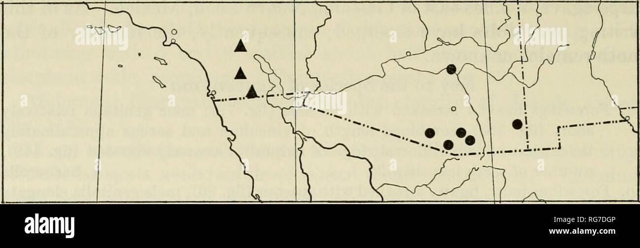 . Bulletin - United States National Museum. Science. 102 U.S. NATIONAL MUSEUM BULLETIN 255. Map 17.—Distribution of Agavenema barberella (black circles) and Agavenema pallida (black triangles). Discussion.—As discussed under the following species, the fore- wings of 37 female specimens of A. barberella were measiued and compared to those of A. pallida. The great majority (29) of these 37 specimens were reared from the flower stalks of Agave palmeri, collected near Ray, Arizona; the remaining 8 females were collected at lights in Madera Canyon, Santa Cruz Co., Ariz. The latter moths ranged some Stock Photo
