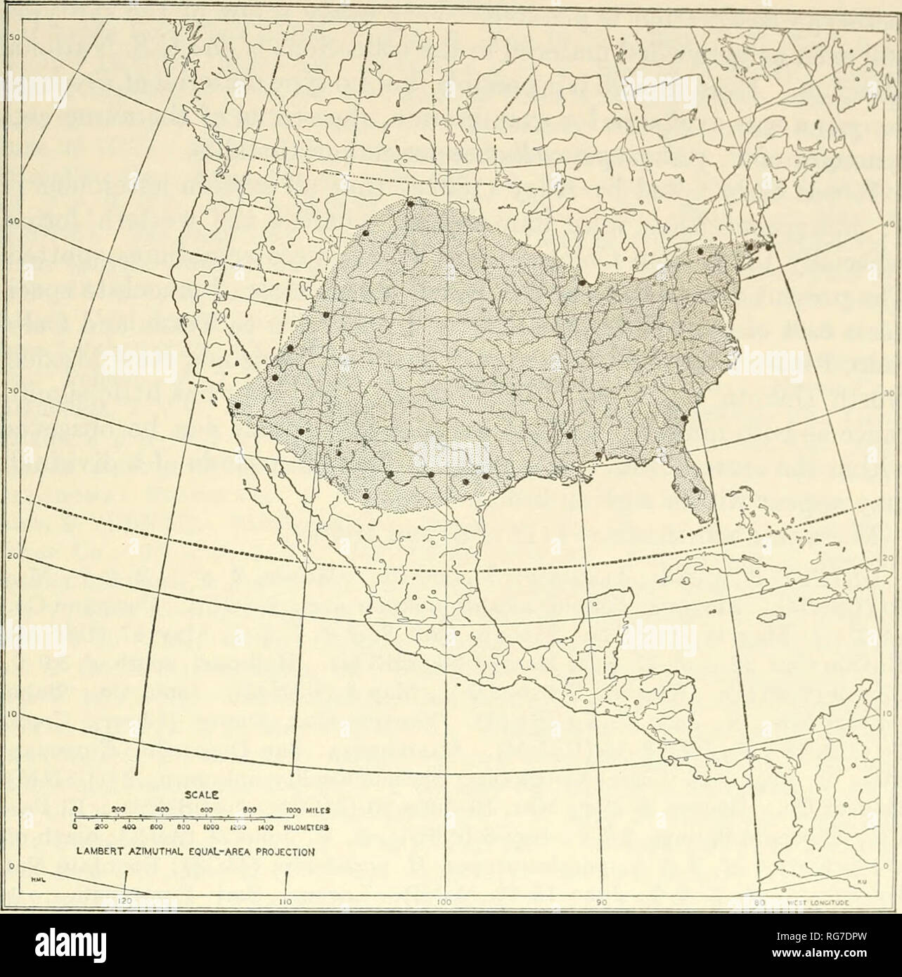 Bulletin - United States National Museum. Science. REVISION ...