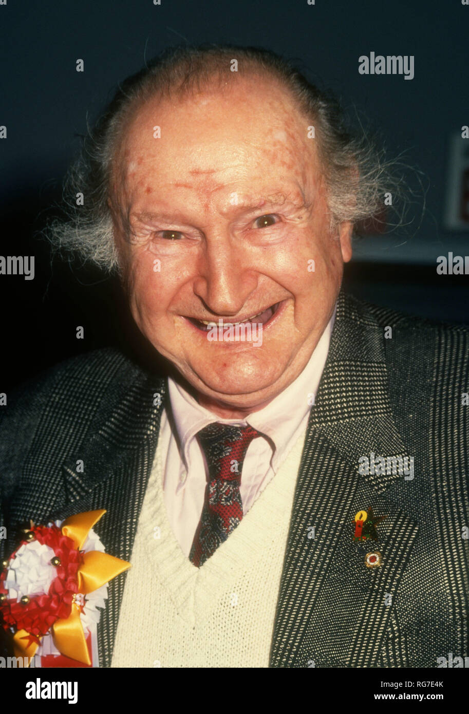 HOLLYWOOD, CA - NOVEMBER 28: Actor Al Lewis attends the 62nd Annual Hollywood Christmas Parade on November 28, 1993 at KTLA Studios in Hollywood, California. Photo by Barry King/Alamy Stock Photo Stock Photo