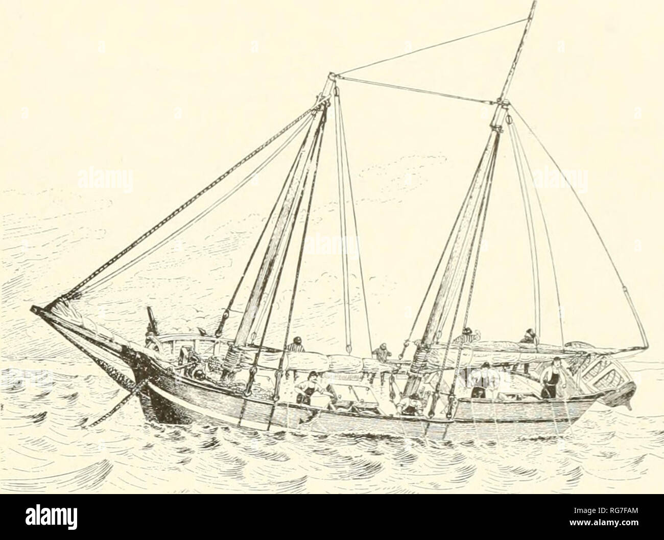 . Bulletin - United States National Museum. Science. Old Fashioned Grand Banks cod- fishing schooner with crew hand- line fishing. Vessel is of about 1825. Drawn by H. Elliott under the direction of Capt. J. VV. Col- lins. From G. Brown Goode, The fisheries and fishery industries of the United States, Washington, Govern- ment Printing Office, 1884-87.. thus assumed very great importance. The first effort to produce suitable vessels resulted in a large number of smacks, or schooners having live-wells. As most of these vessels were built on the old, slow model, they did not prove very satisfacto Stock Photo