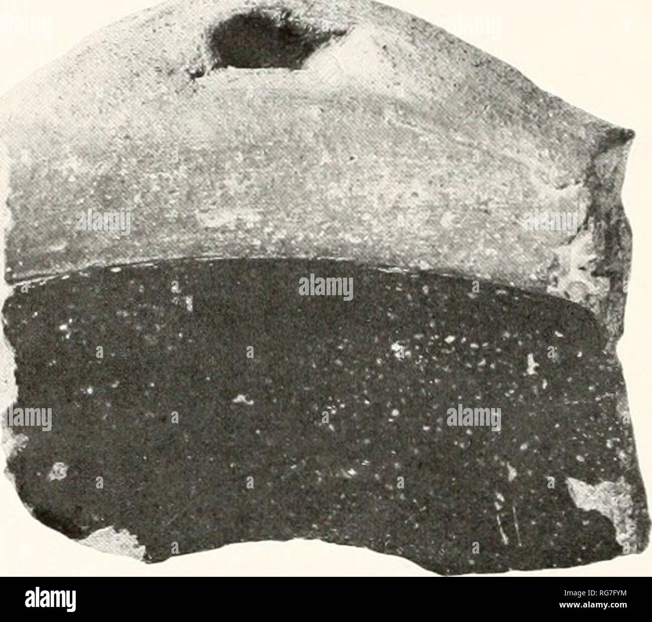 . Bulletin - United States National Museum. Science. Figure 29.—Exteriors (left) and interiors of gravel- tempered sherds. Pan (top) with 18th-century- type rim, and handle of heavy pan with reinforced rim. Colonial National Historical Park. {From Smithsonian photos 4303g-C, 42ojgD.) ination of coments of pot by permitting one to lift up one edge of cover. Covers are sometimes numbered with incised numerals. Unglazed. (Fig. 18.) Pipkins: Diameter 7&quot;, height 3&quot;; diameter 8}i&quot;, height 3;^&quot;; diameter 8%&quot;, height 4&quot;; diameter 8&quot;, height 5&quot;. Curving sides, t Stock Photo