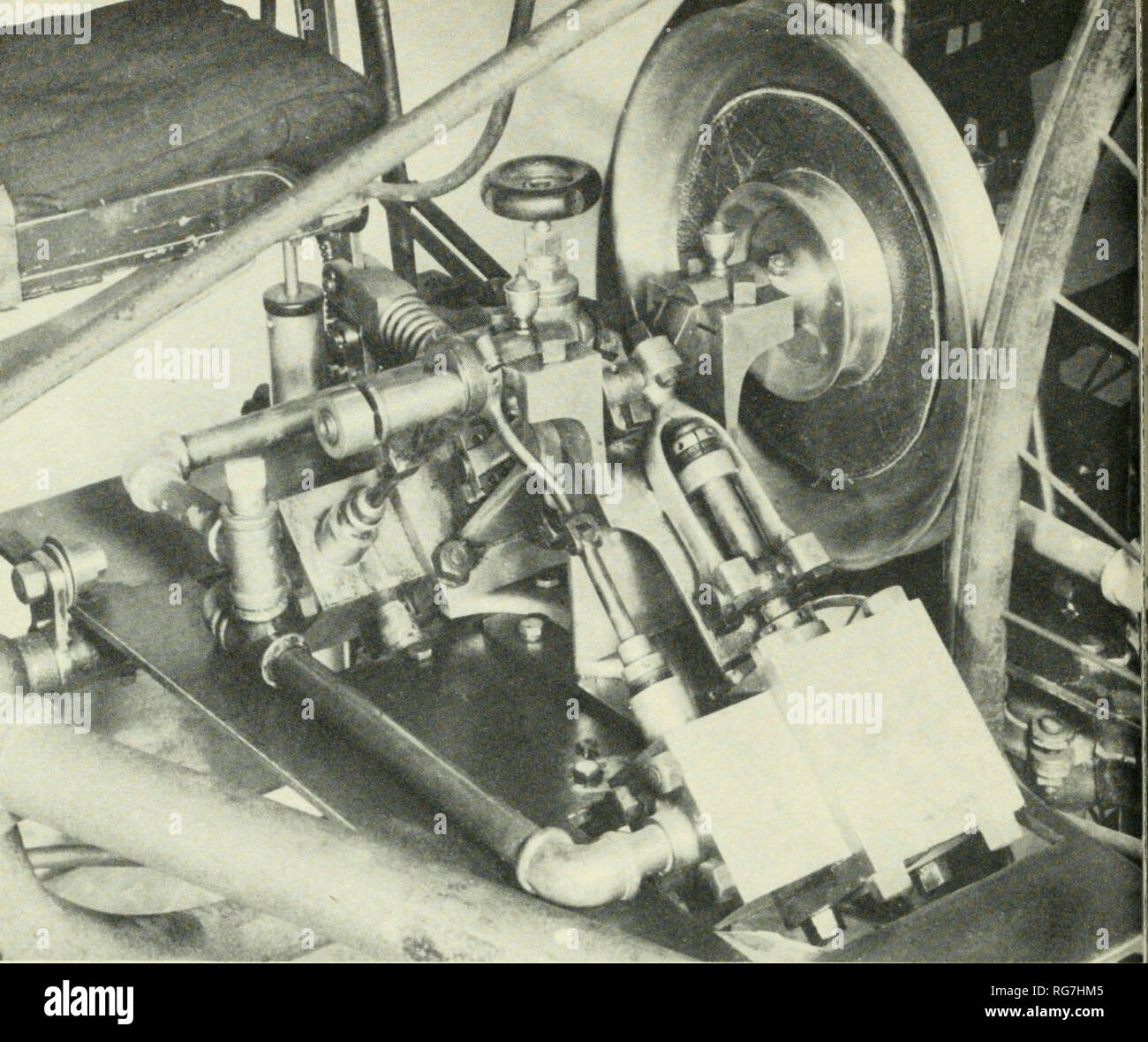 Bulletin United States National Museum Science Figure 33 The