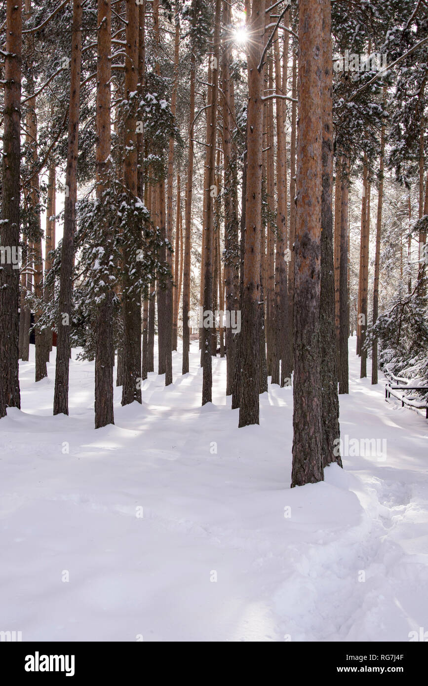 Idyllic outdoor scene in hi-res stock photography and images - Alamy