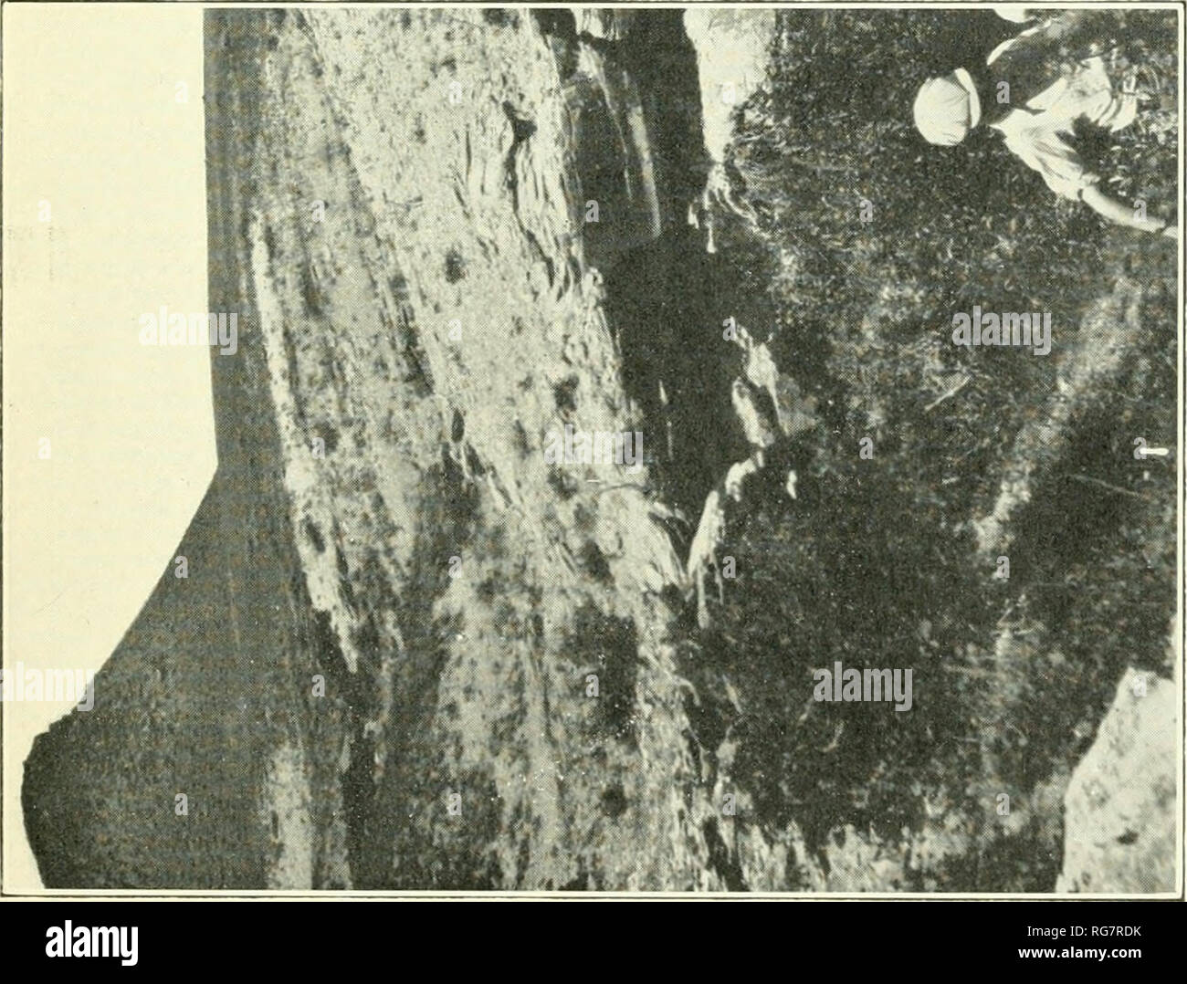 Page 224 P R G S High Resolution Stock Photography And Images Alamy