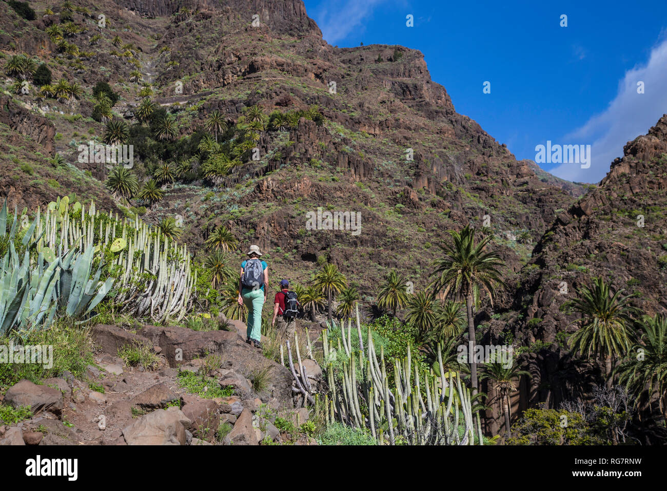 Hike from El Guro to the waterfall in the Barraco of Arure, Valle Gran Rey, La Gomera, Canary Islands, Spain, Europe, Wanderung von El Guro zum Wasser Stock Photo