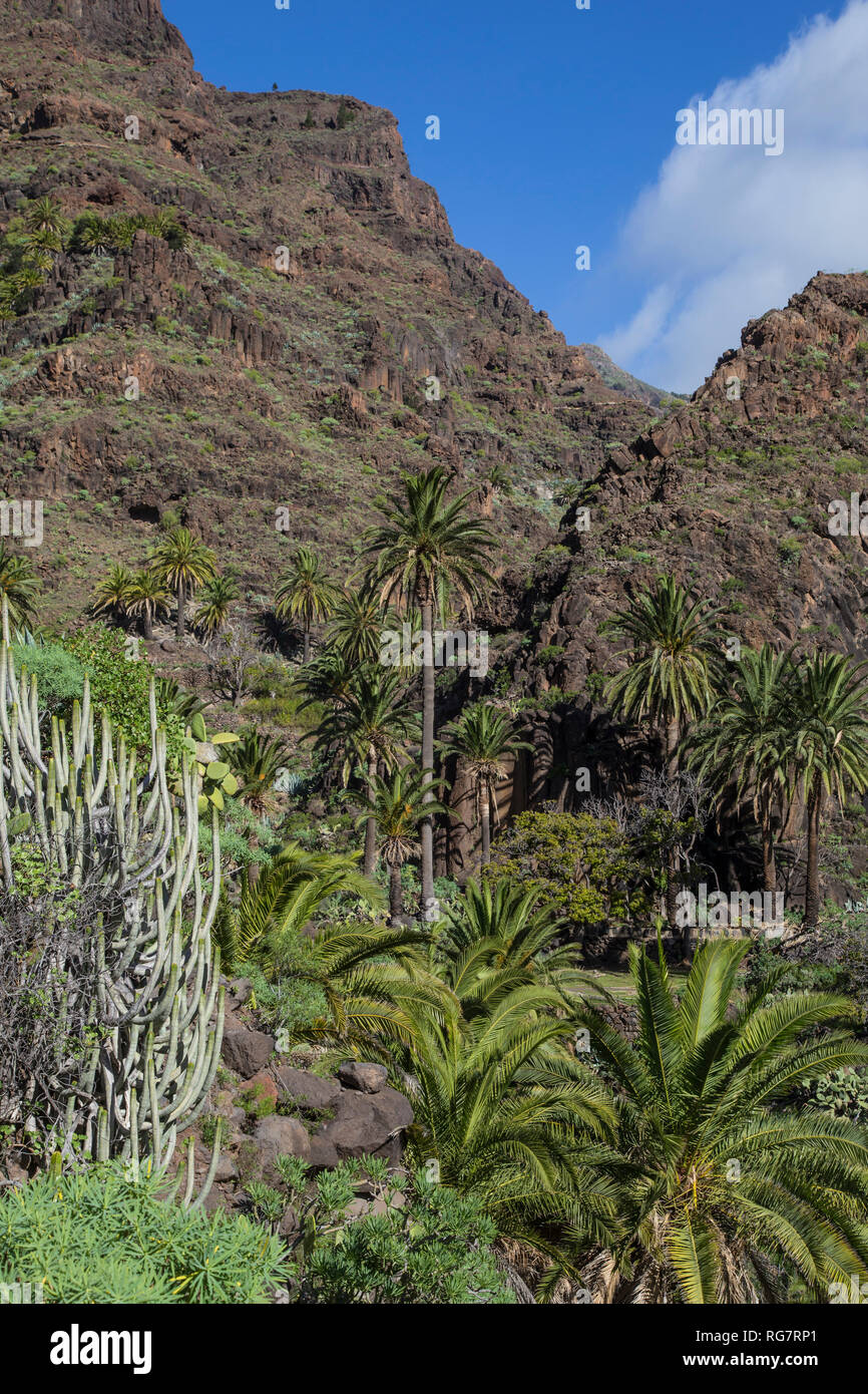 Hiking trail from El Guro to the waterfall in the Barraco of Arure, Valle Gran Rey, La Gomera, Canary Islands, Spain, Europe, Wanderweg von El Guro zu Stock Photo
