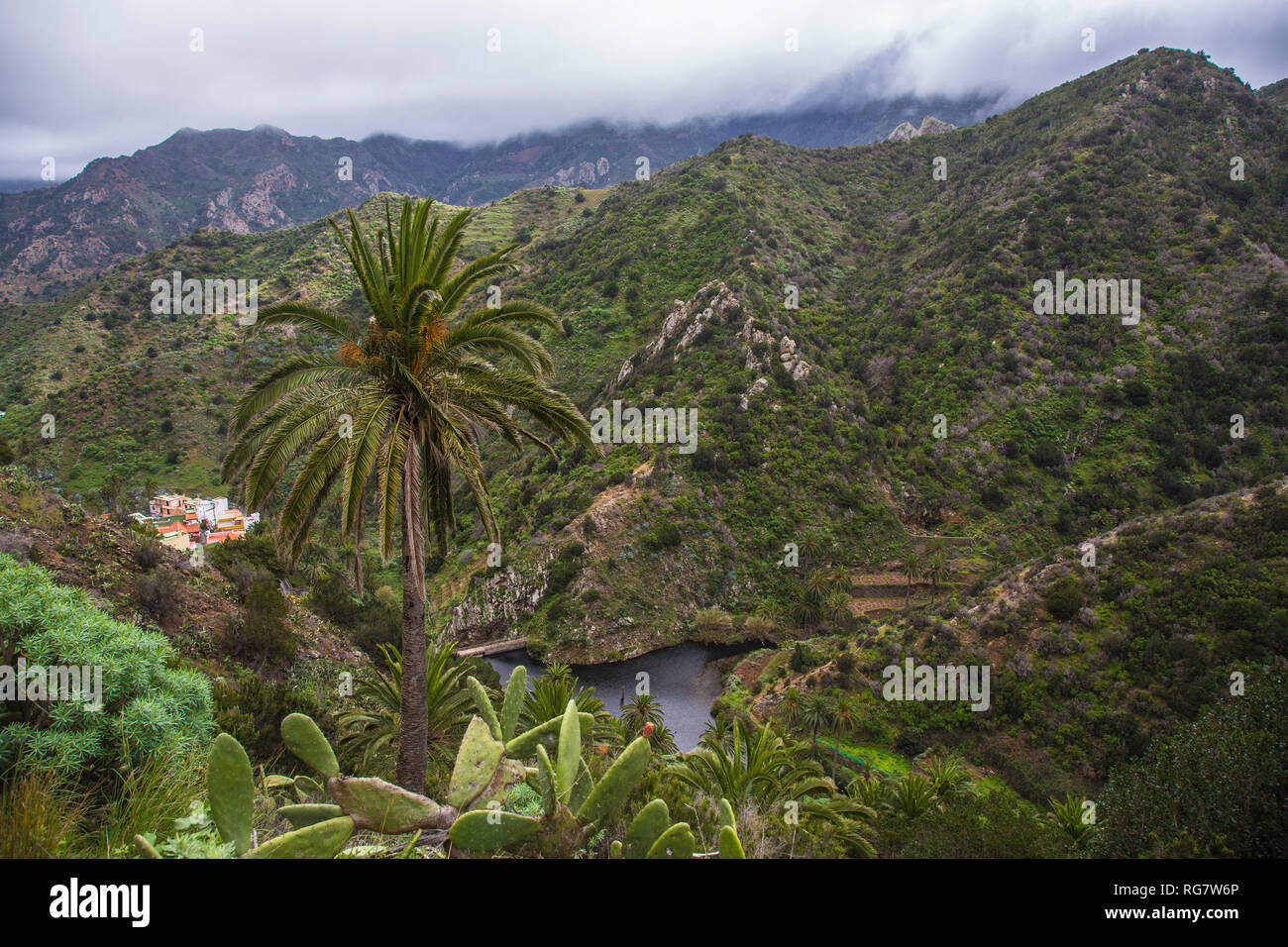 Vallehermoso valley, La Gomera, Canary Islands, Spain, Europe, Tal von Vallehermoso, La Gomera, Kanarische Inseln, Spanien, Europa Stock Photo