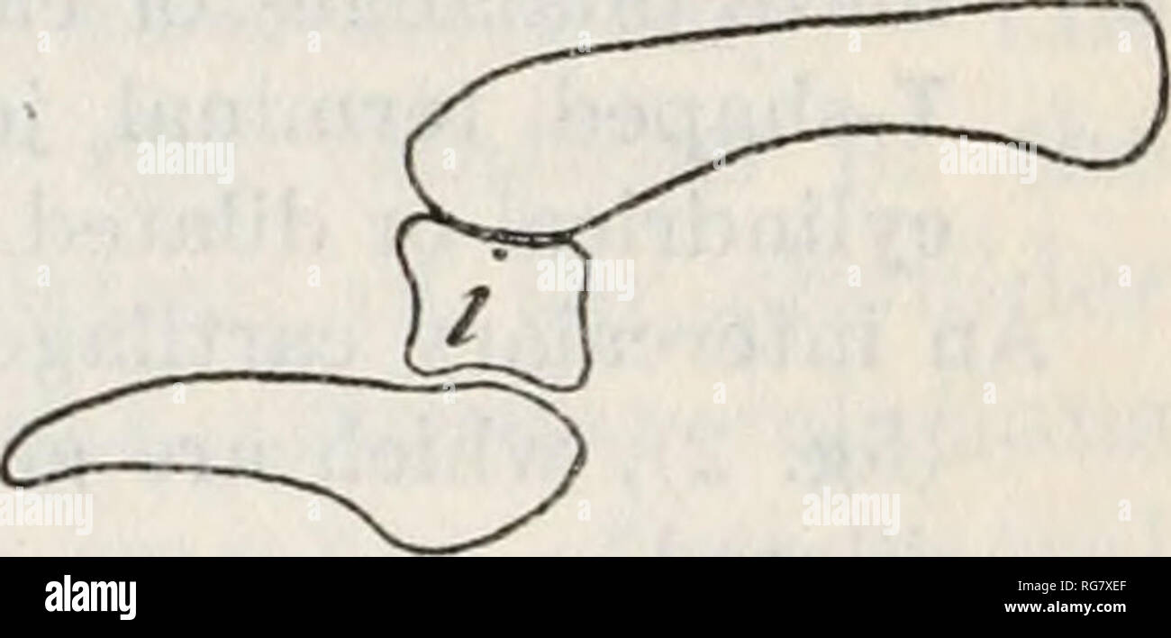 . Bulletin - United States National Museum. Science. Figure 1.—Diagrams ...