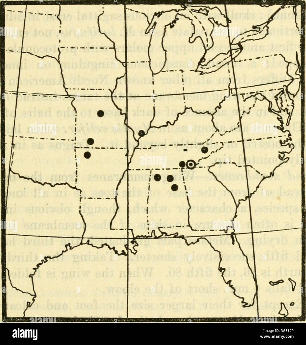 Nickajack cave and bats hires stock photography and images Alamy