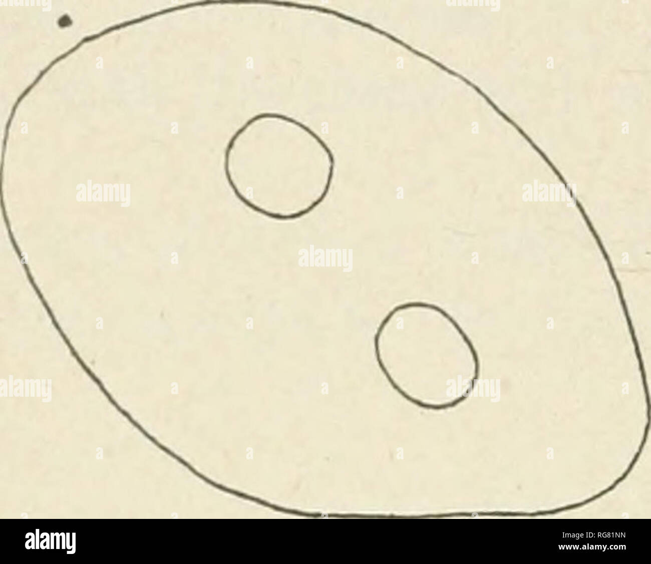 . Bulletin United States National Museum. Science. 112 BULLETIN 120