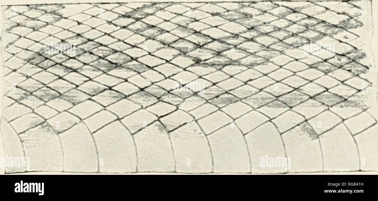 Get Hilgendorf For iPhone Free Hilgendorf