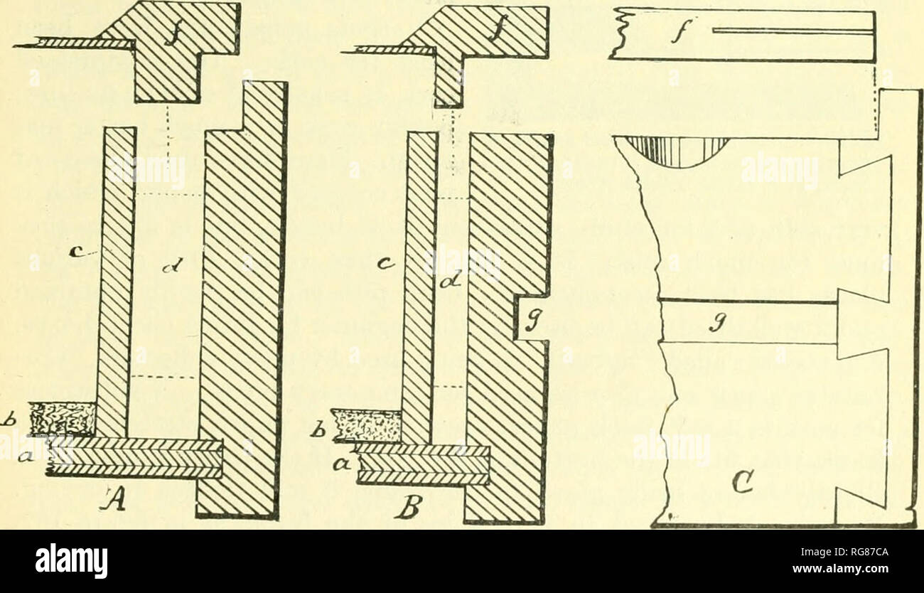 Bulletin United States National Museum Science Fig 165 Athe