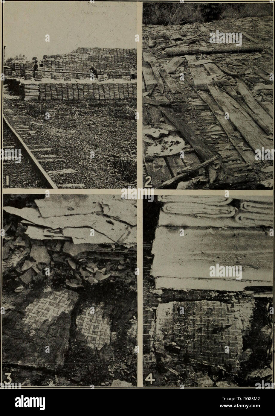 Timber pile foundations hi-res stock photography and images - Alamy