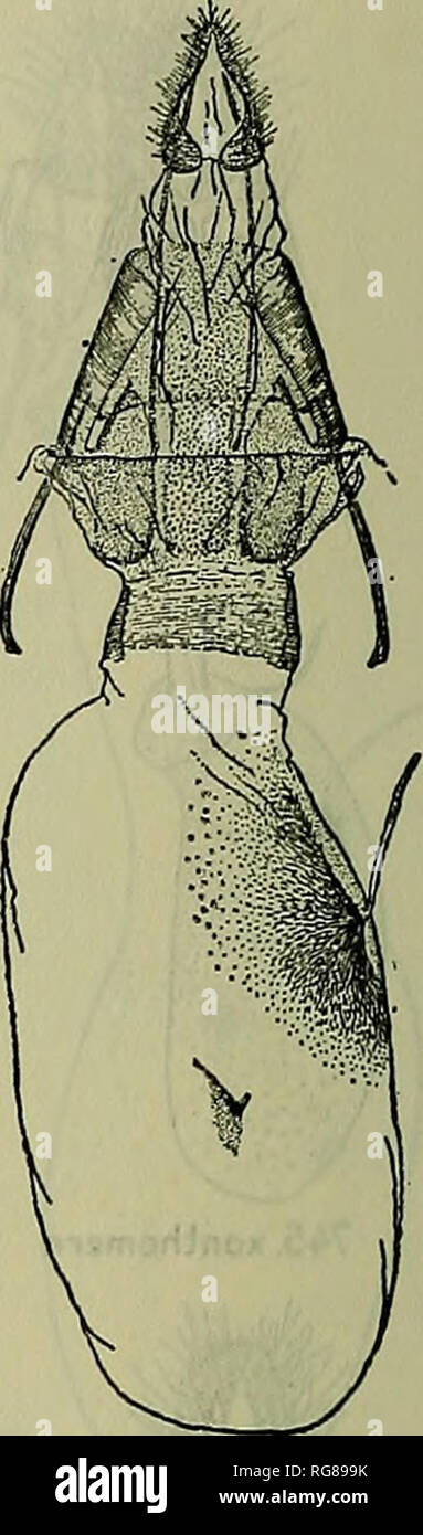 754 755 High Resolution Stock Photography And Images Alamy 754 755 High Resolution Stock Photography And Images Alamy