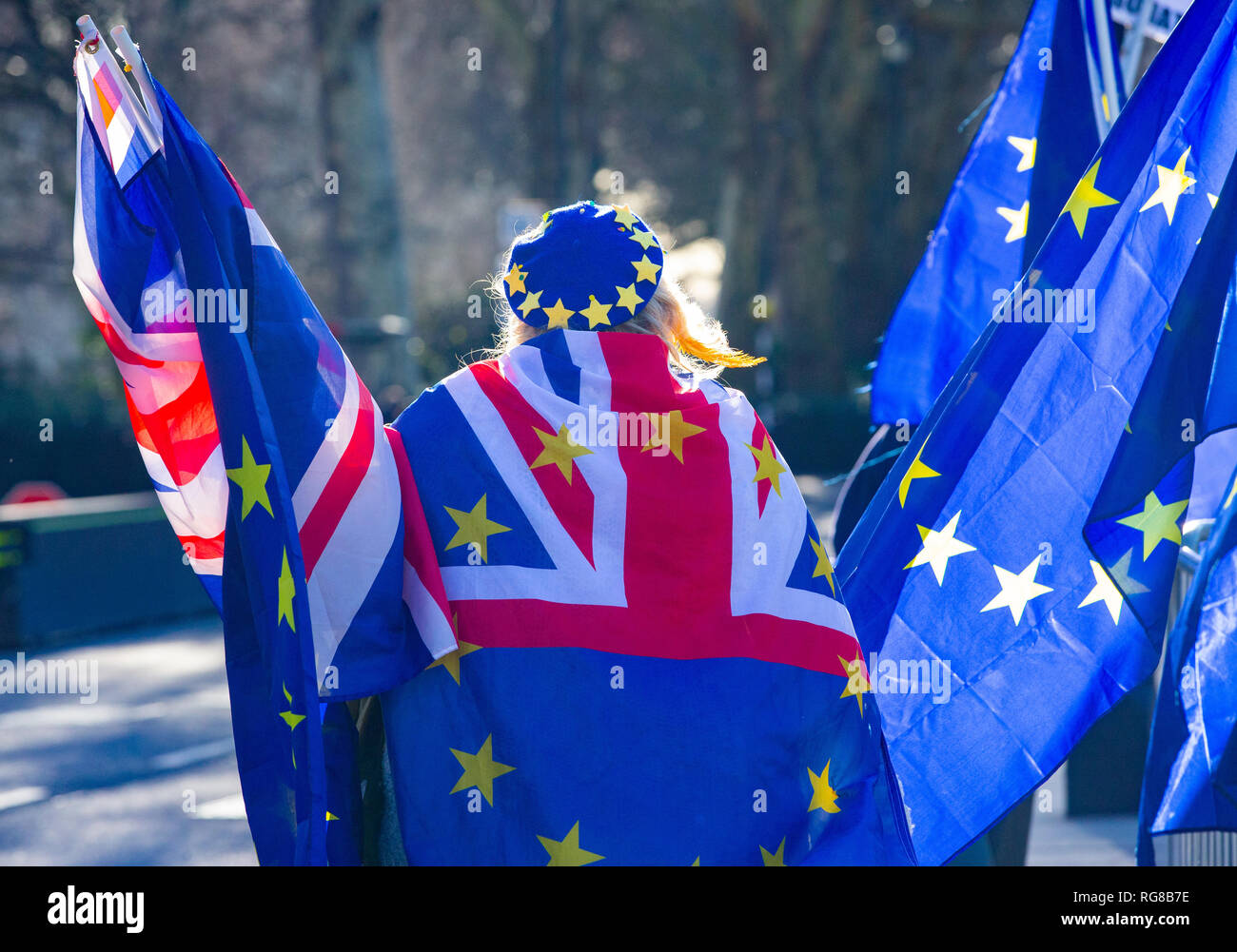 London, UK. 28th Jan, 2019. Pro European supporter with Union flags on College Green in Westminster one day before another crucial Brexit vote. The UK Parliament will debate and vote on a 'Plan B' Brexit plan from Theresa May's government on 29 January, it was announced on Thursday. May suffered one of the biggest defeats in British political history earlier this week, when her withdrawal agreement - negotiated for two years with the EU - was defeated by 230 votes Credit: Tommy London/Alamy Live News Stock Photo