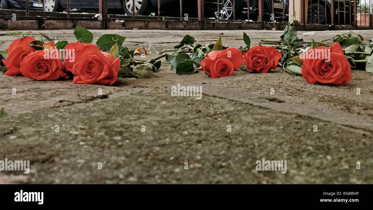 Dead Police High Resolution Stock Photography and Images - Alamy