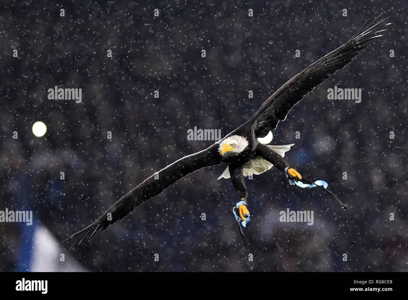 Football Serie A Lazio Vs Juventus Rome Italy 27 Jan 2019 In The Picture The Mascot Of Lazio Olimpia Ph Photographer01 Stock Photo Alamy
