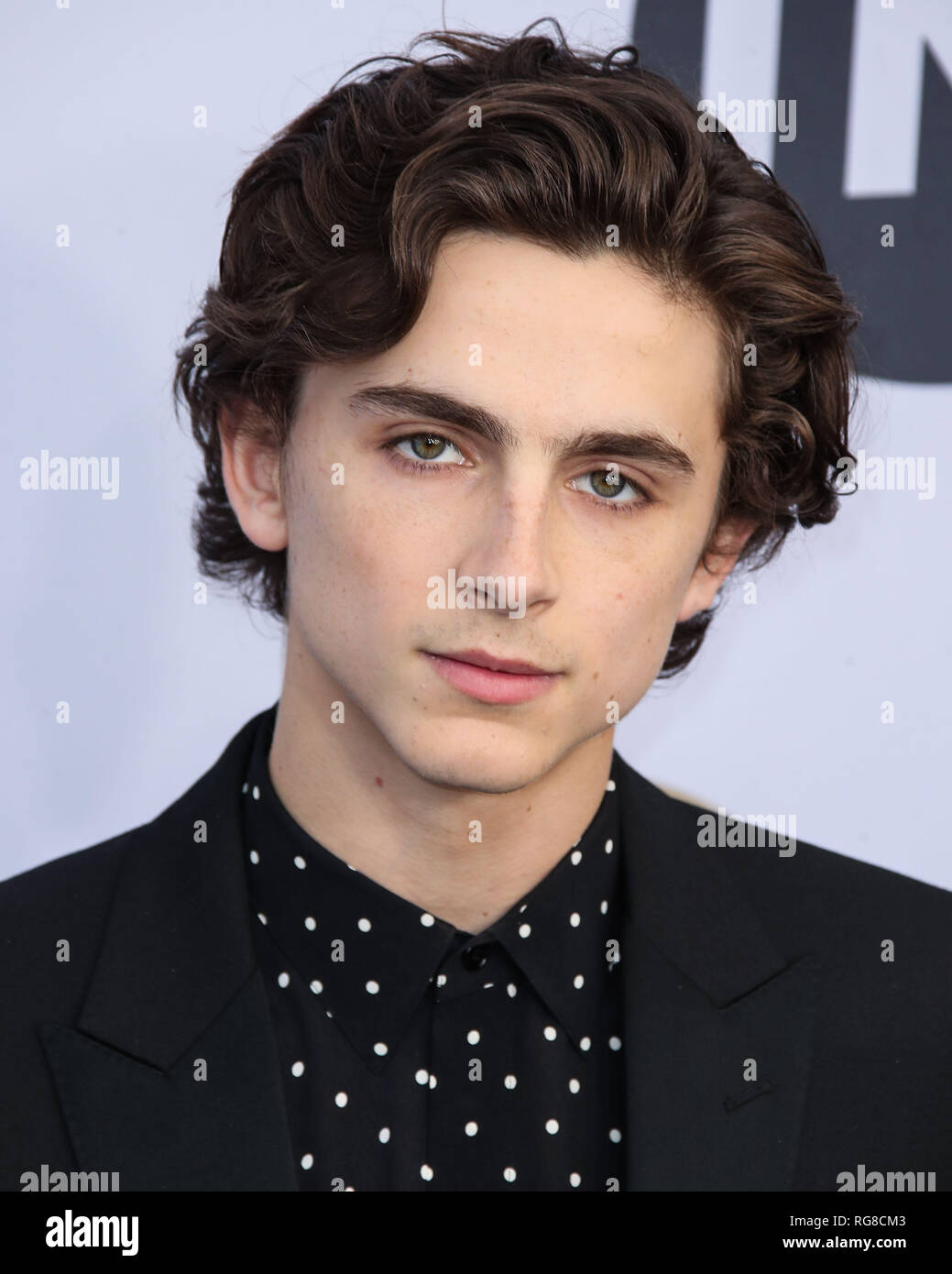Actor timothée chalamet hi-res stock photography and images - Alamy