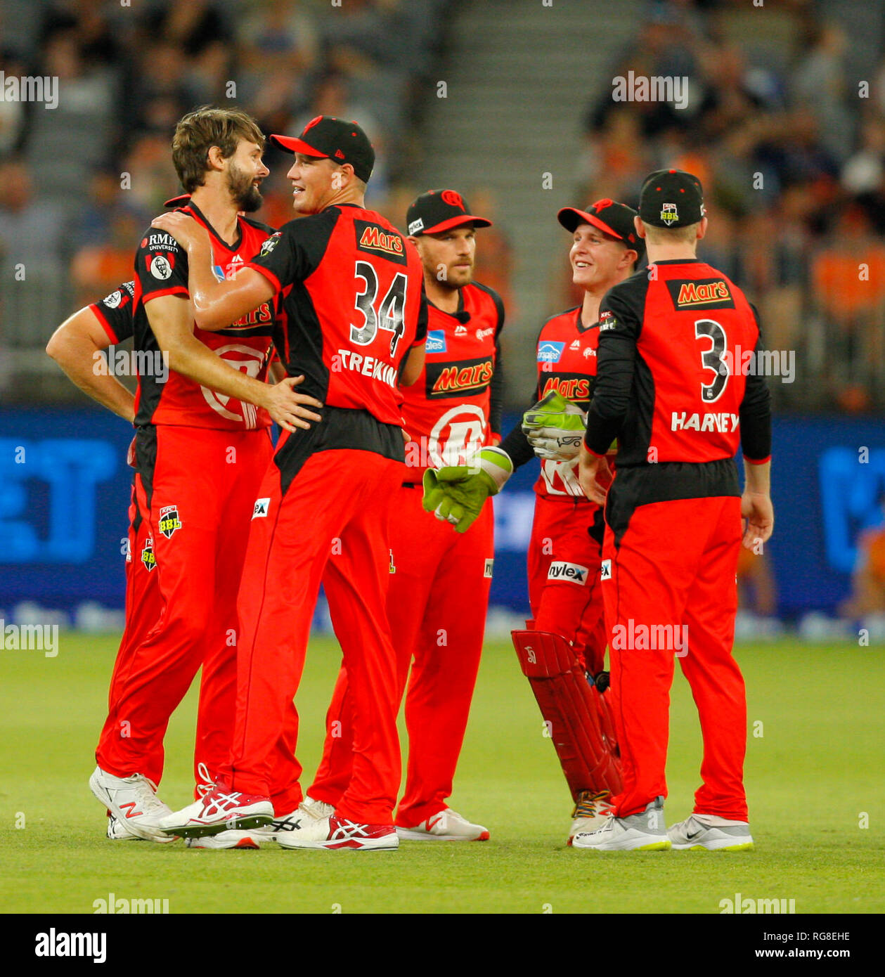 Optus Stadium Perth Australia 28th Jan 19 Big Bash League Cricket Perth Scorchers Versus Melbourne Renegades Melbourne Players Celebrate The Wicket Of Ashton Turner For 1 To Have The Scorchers Reeling At