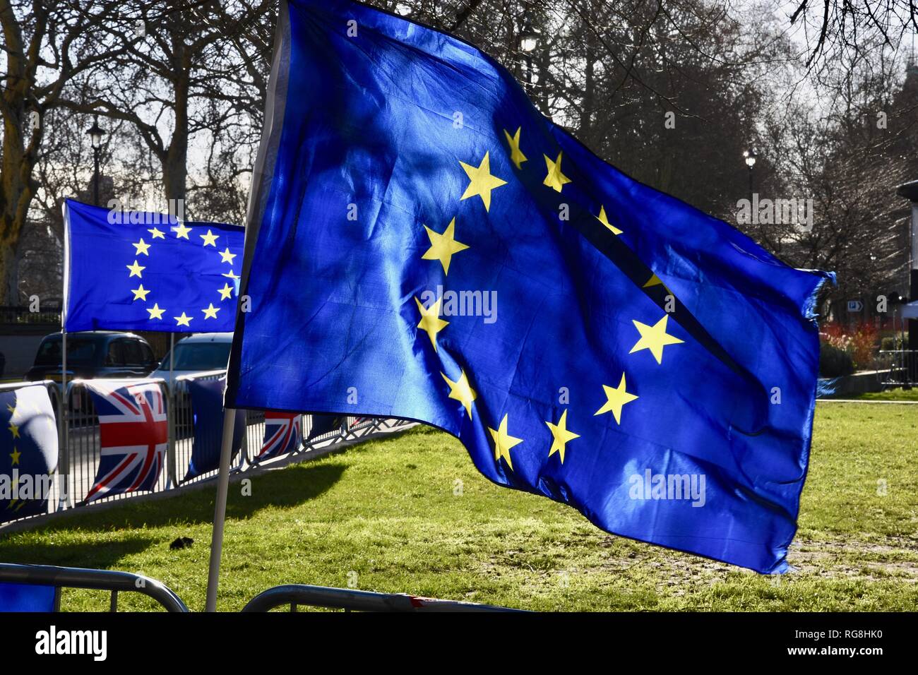 London, UK. 28th January 2019. EU Flags blow in the wind, College Green. Opposite the Houses of Parliament, On the eve of a series of crunch Commons votes on the future of Brexit.Westminster, London.UK Credit: michael melia/Alamy Live News Stock Photo