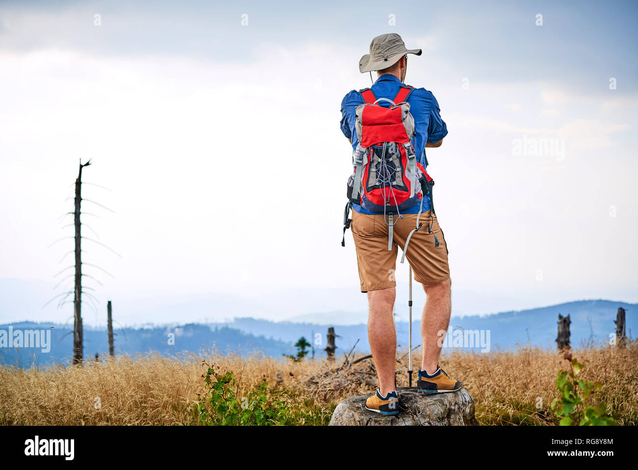 Rear view of man standing on tree stump during hiking trip Stock Photo