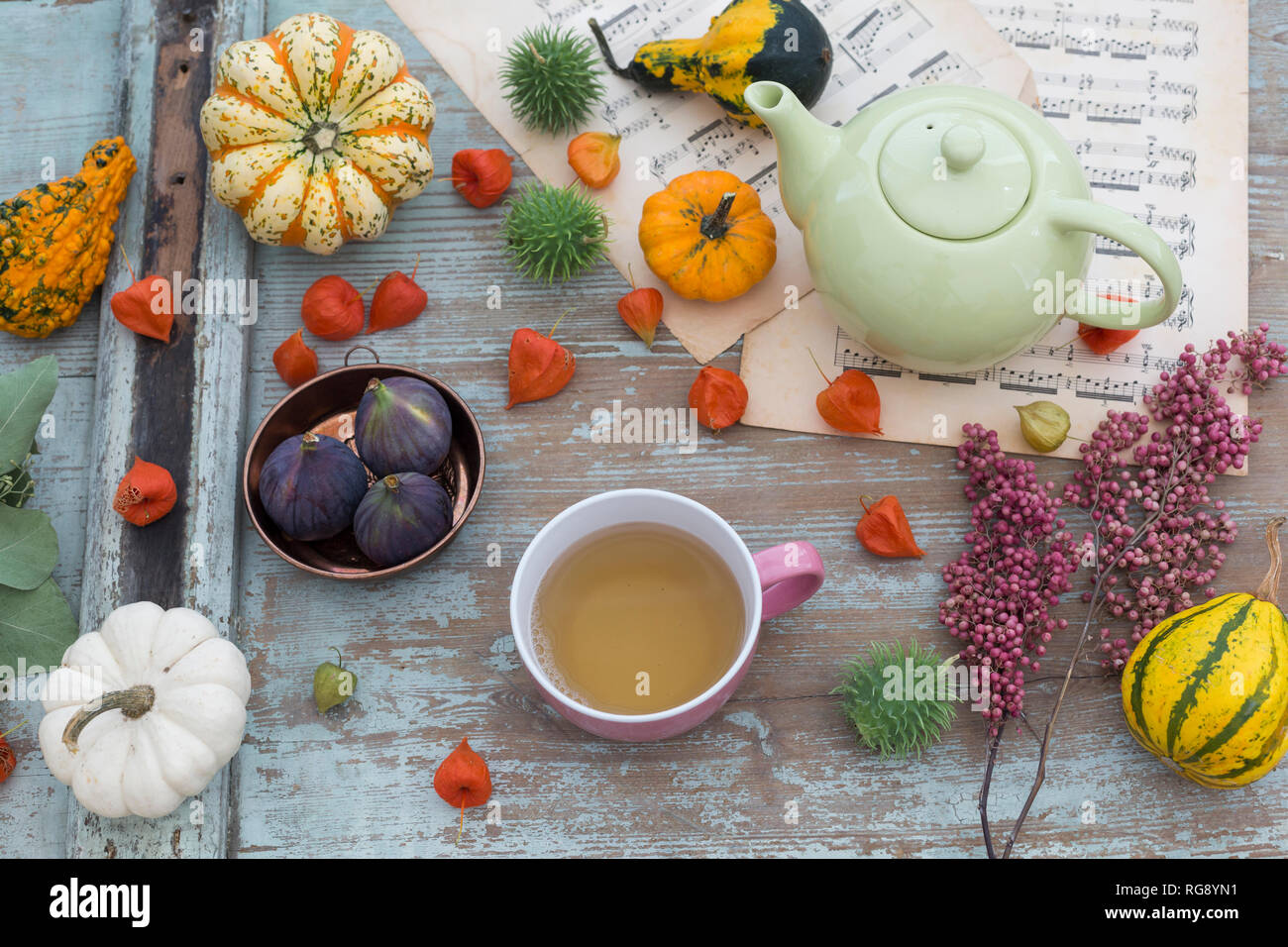 Autumnal table decoration with decorative gourds, Chinese lanterns Stock Photo