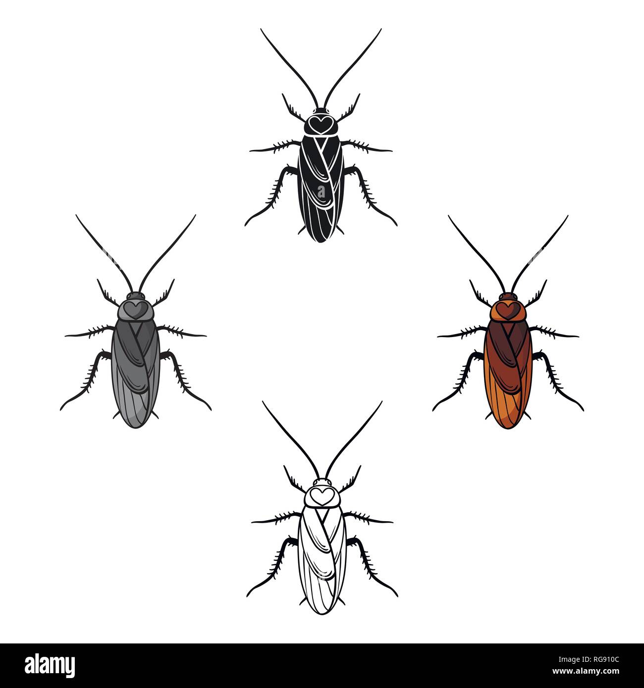 antenna,art,background,biology,body,brown,bug,cartoon,cockroach,control