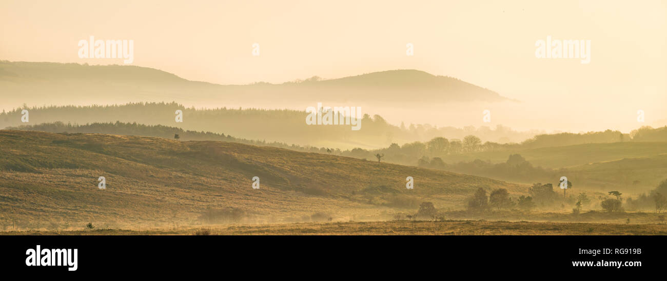 Hills receding into the distance on Woodbury Common, East Devon, South West England, United Kingdom. Stock Photo