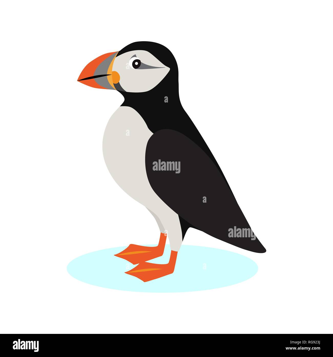 Atlantic puffin icon, polar bird with colorful beak isolated on white background, species of seabird, vector illustration. Stock Vector