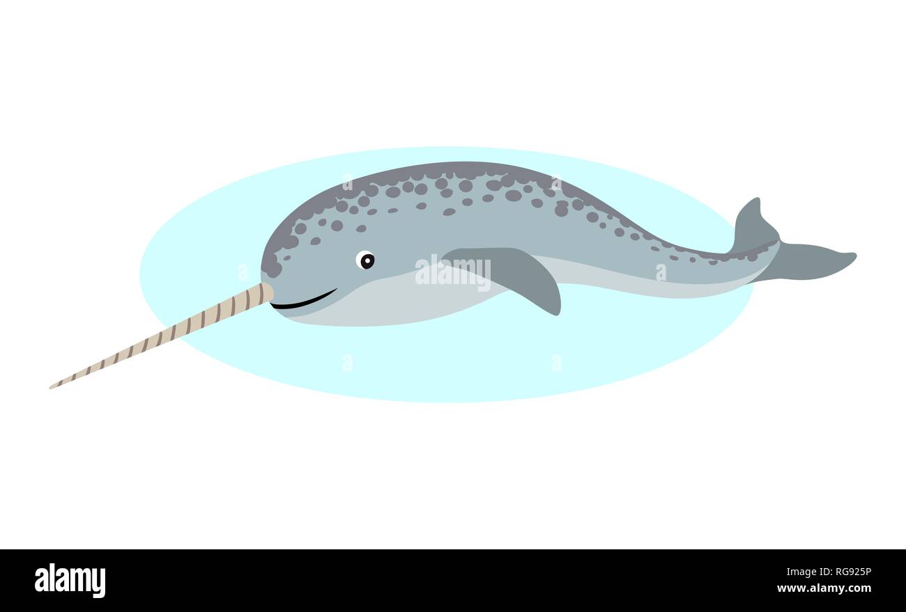 Cute narwhal with long horn icon, unusual whale, polar animal, isolated on white background, vector illustration. Stock Vector