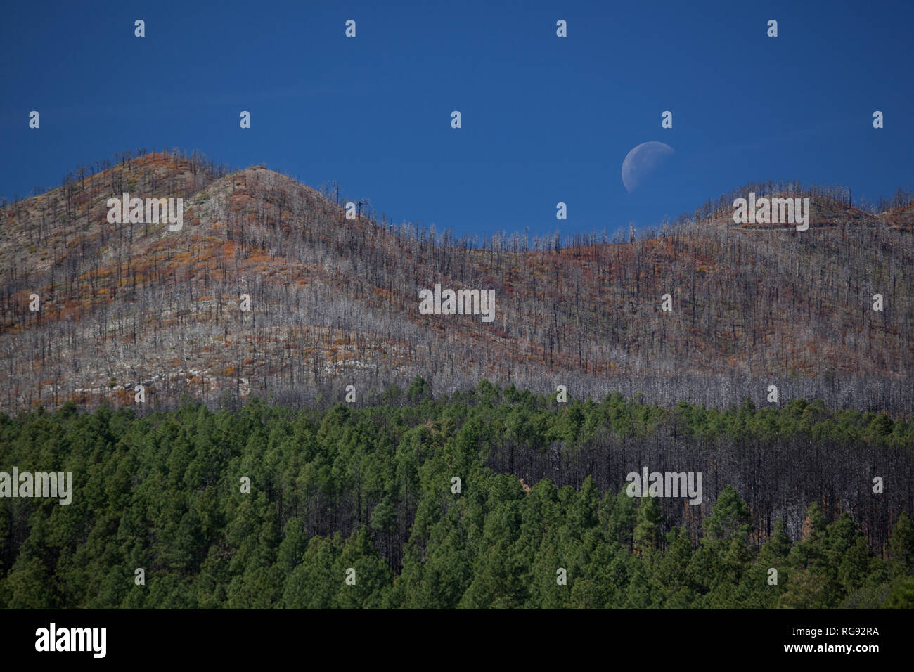 Torrance county, new mexico hires stock photography and images Alamy