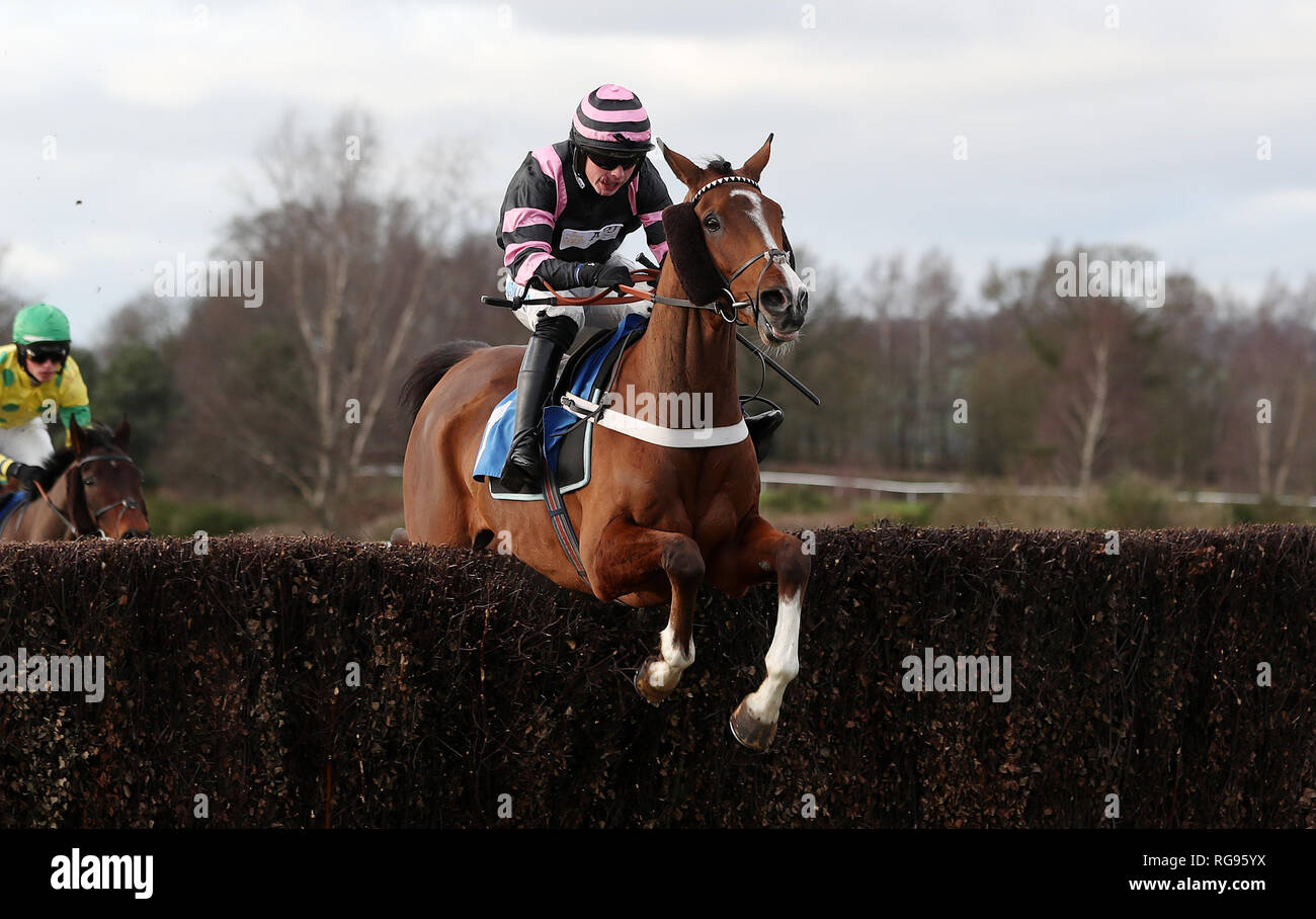 Lough Derg Spirit ridden by James Bowen on their way to victory in the Heath Farm Meats Chase at Ludlow Racecourse. Stock Photo