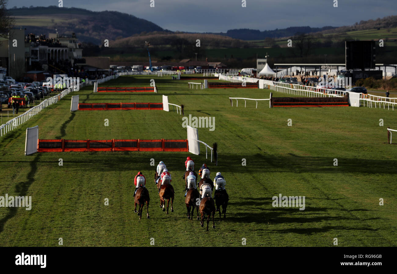 The field go up the home straight in the Join Racing TV Now Mares' Handicap Hurdle at Ludlow Racecourse. Stock Photo