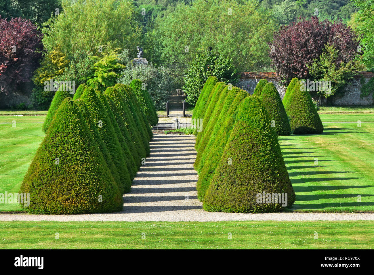 Elizabethan rural garden topiary & path in historic parklands & gardens rows of conifers casting shadows at Littlecote House in Wiltshire England UK Stock Photo