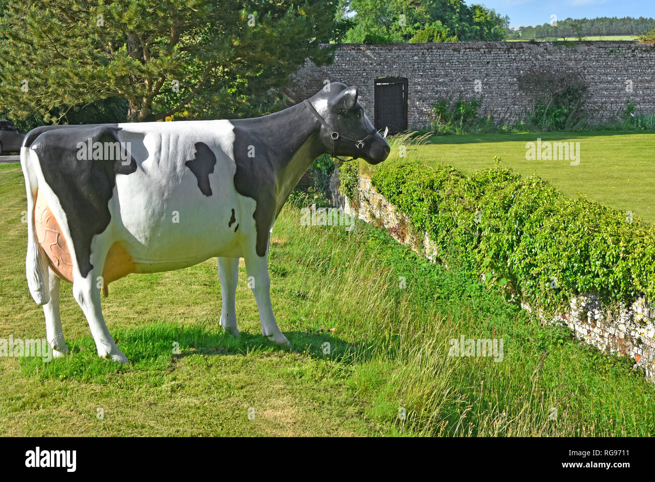 Friesian cow plastic model placed in grass field beside Ha Ha trench ditch with retaining wall to protect garden from cattle entering England UK Stock Photo