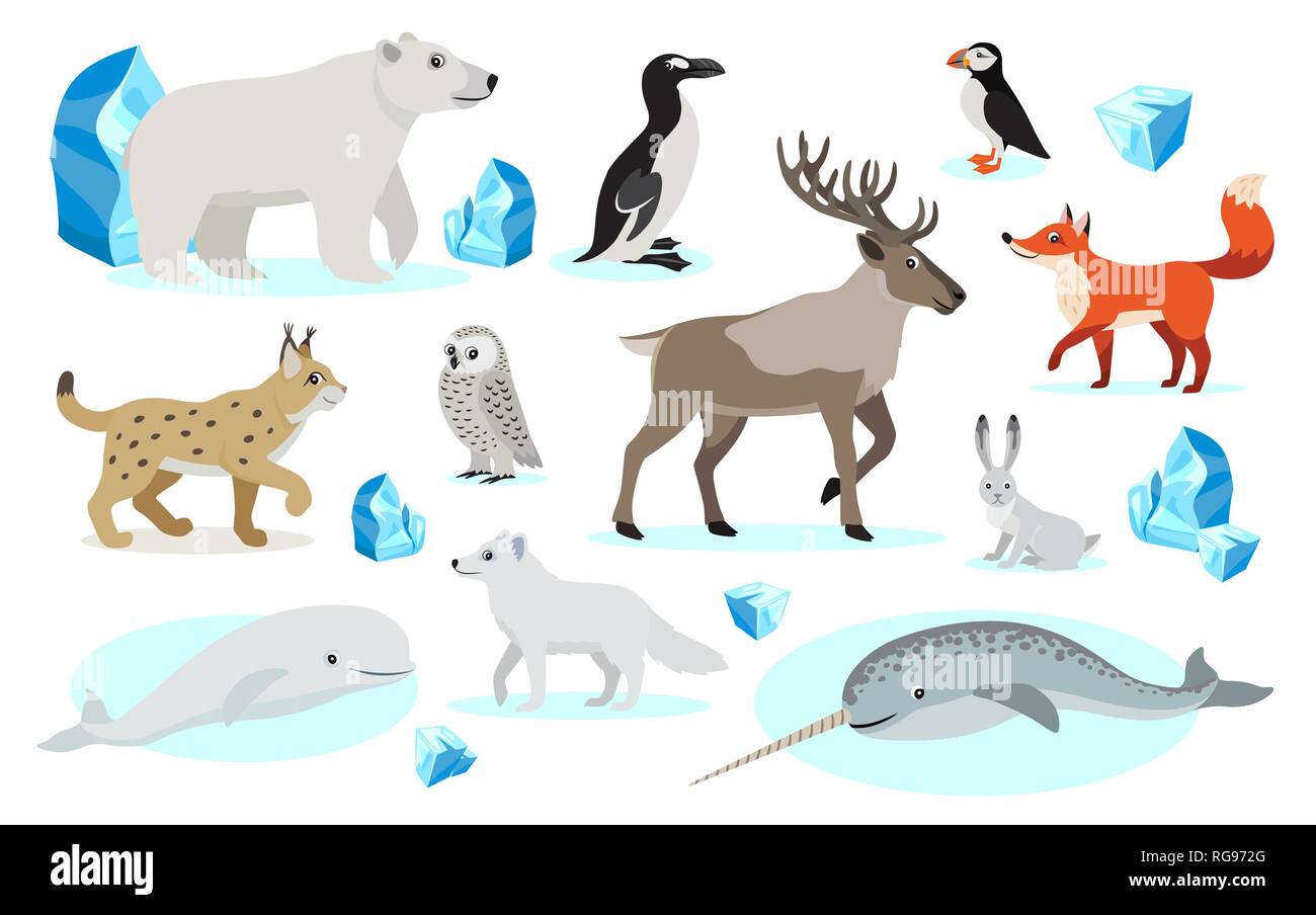Set of polar animals icons, isolated on white background Stock Vector