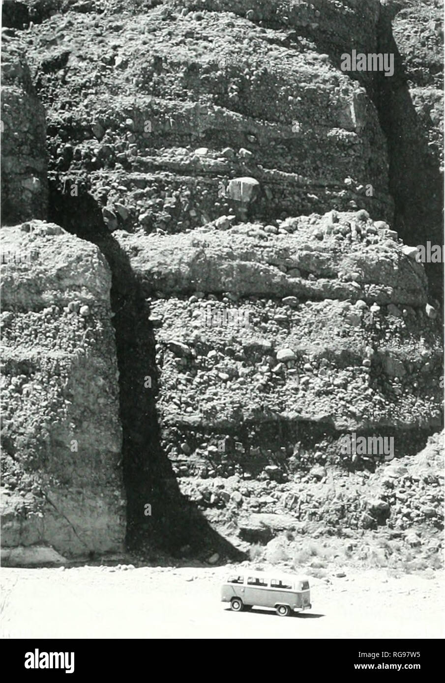 . Bulletins of American paleontology. Baja California SrRAriGRAPH: Carreno and Smith 65. Text-figure 40.—Split Mountain Gortie. Miocene reddish-brown alluvial tan deposits exposed in Fish Creek Wash. View west at rocks that Woodward ( 1974) referred to the Anza Formation (Bor- rego Mountain SE 7';-miniitc quadrangle SE '4, NW '4 Sec. 2.*^. T 1.1 S. R S E). The alUiNial sediments underlie the &quot;lower houlder beds.&quot; which are now regarded as a stur/strom in the Split Mountain Formation (D. R. Kerr, written communication, 2004). Photo, J. C. hmle. Jr. I9.S4. Gypsum, as seen on the geolo Stock Photo