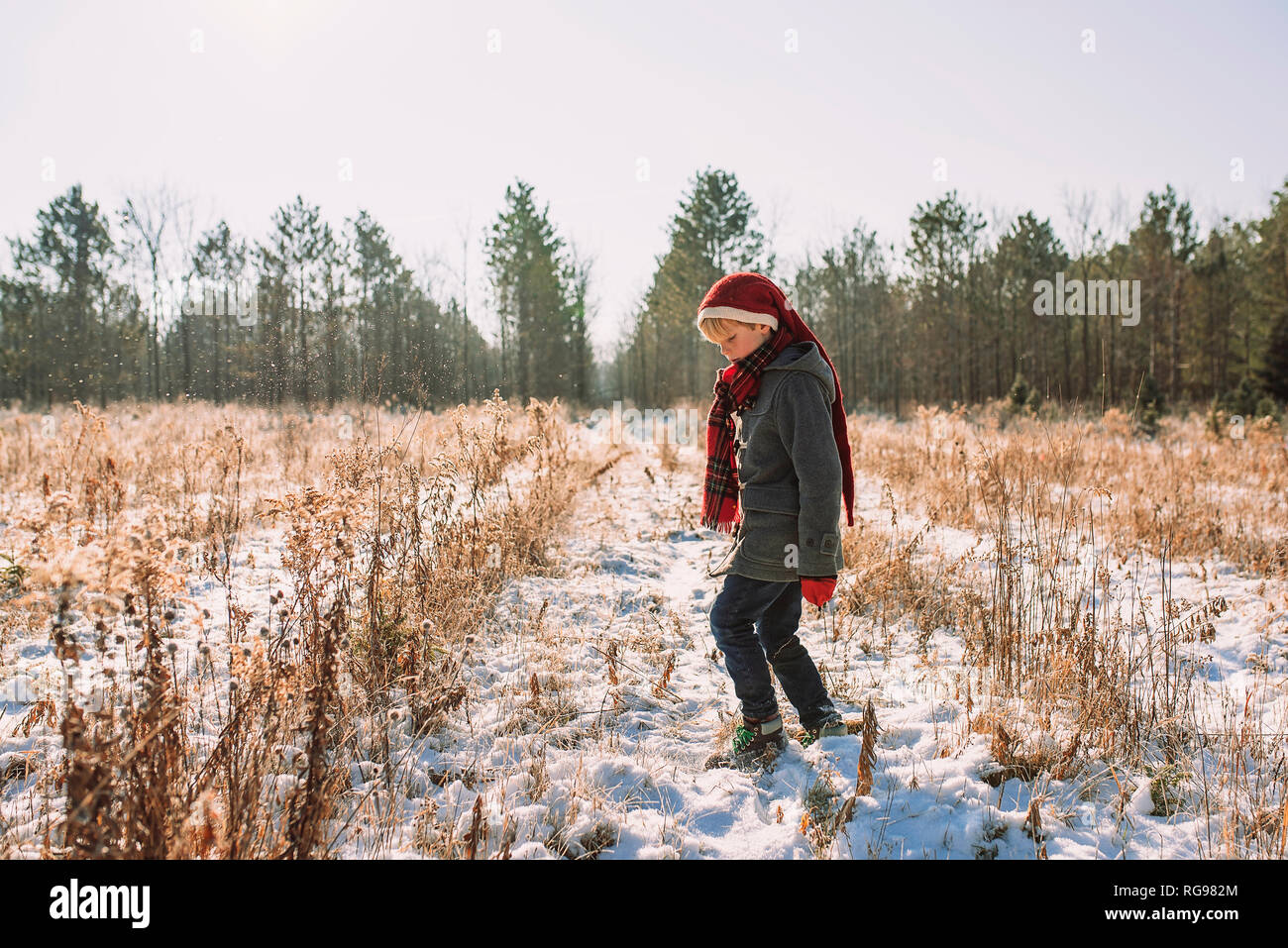 Boy walking in a field in winter, United States Stock Photo