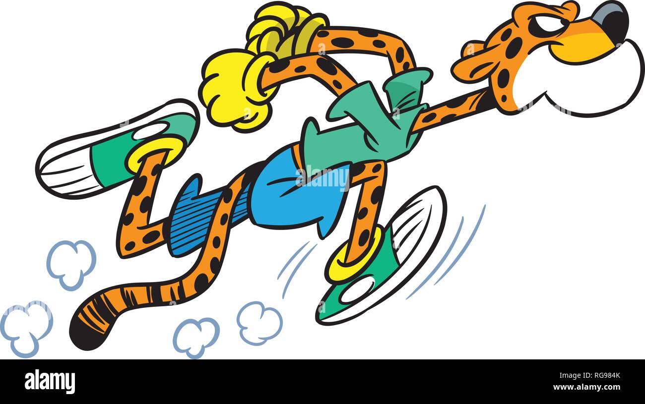 The illustration shows the cheetah, which deals sports running.  Illustration done in cartoon style isolated on white background Stock  Vector Image & Art - Alamy
