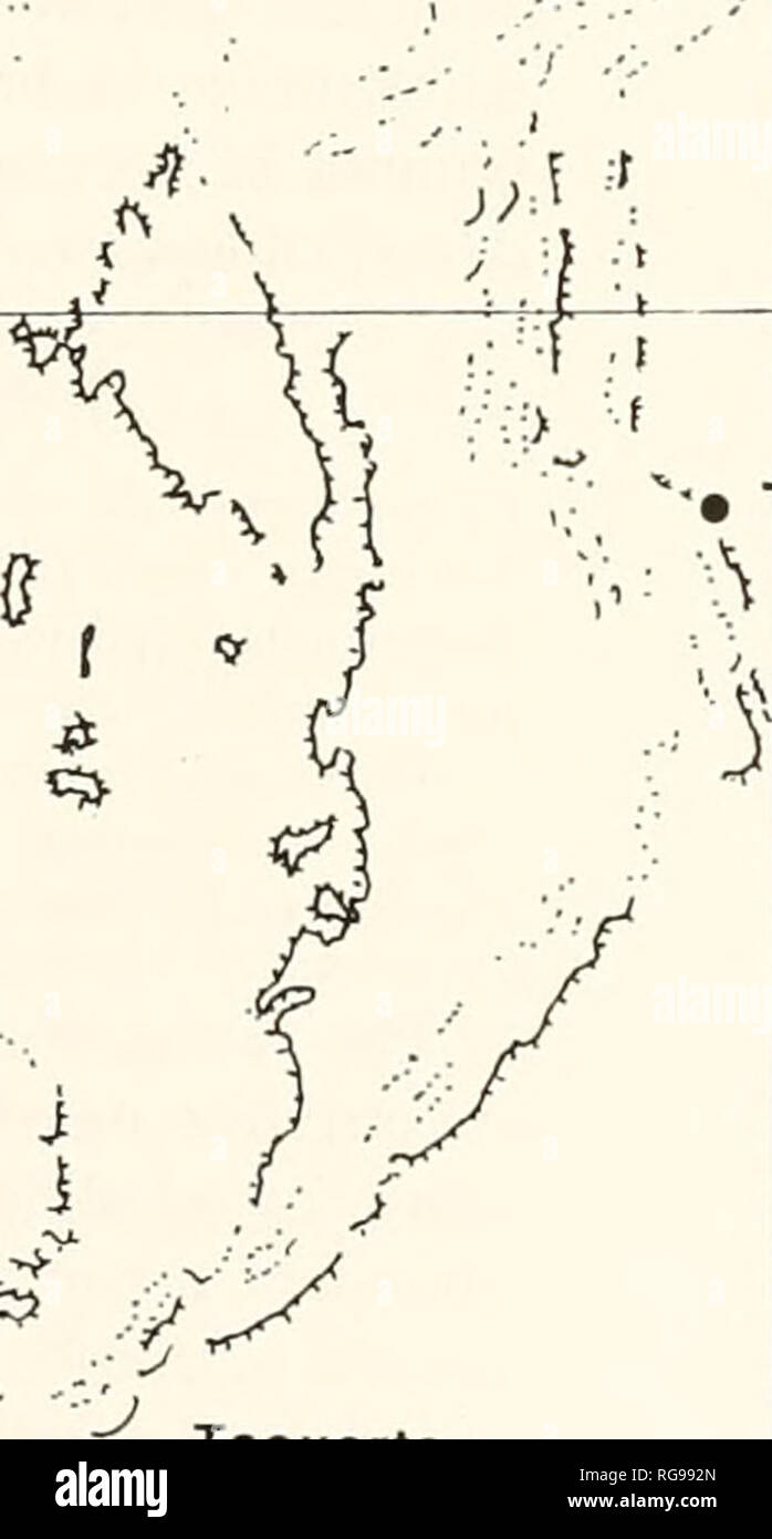 . Bulletins of American paleontology. V. ^.Tagnana HassI Kerma -â^' Dieniene, r--L ' -i , KENADZA â¢ â ^: -^^ ^' &quot;'^ab â k&quot; â .-:; â â â &quot;-â¢..;â CHEBKET â w*- Oued &quot;el Hamar ftENNOUNA'. Â«9 % &quot;,^ Ain ', - Cirque .^'â A de Guettara â¢ ABADLA O X %, Vi ^^â¢&gt;- X. '^^^ ^^ . Taouerta ' -p â¢ IGLI Harre2Â« S â r ? 3 . o .. ^ CO Mazzerâ¢ O â ^ Teniet el Aouldia Meharez ERG de TAGHIT Â°'- 'Â°&quot;'=^^ 31Â° N AGHfT '^x. / cy N 50 km =1 20 w Text-figure L-Map of the Bechar Basm showing named topographic features of echinodenn collecting localities (modified after Lemosuu Stock Photo