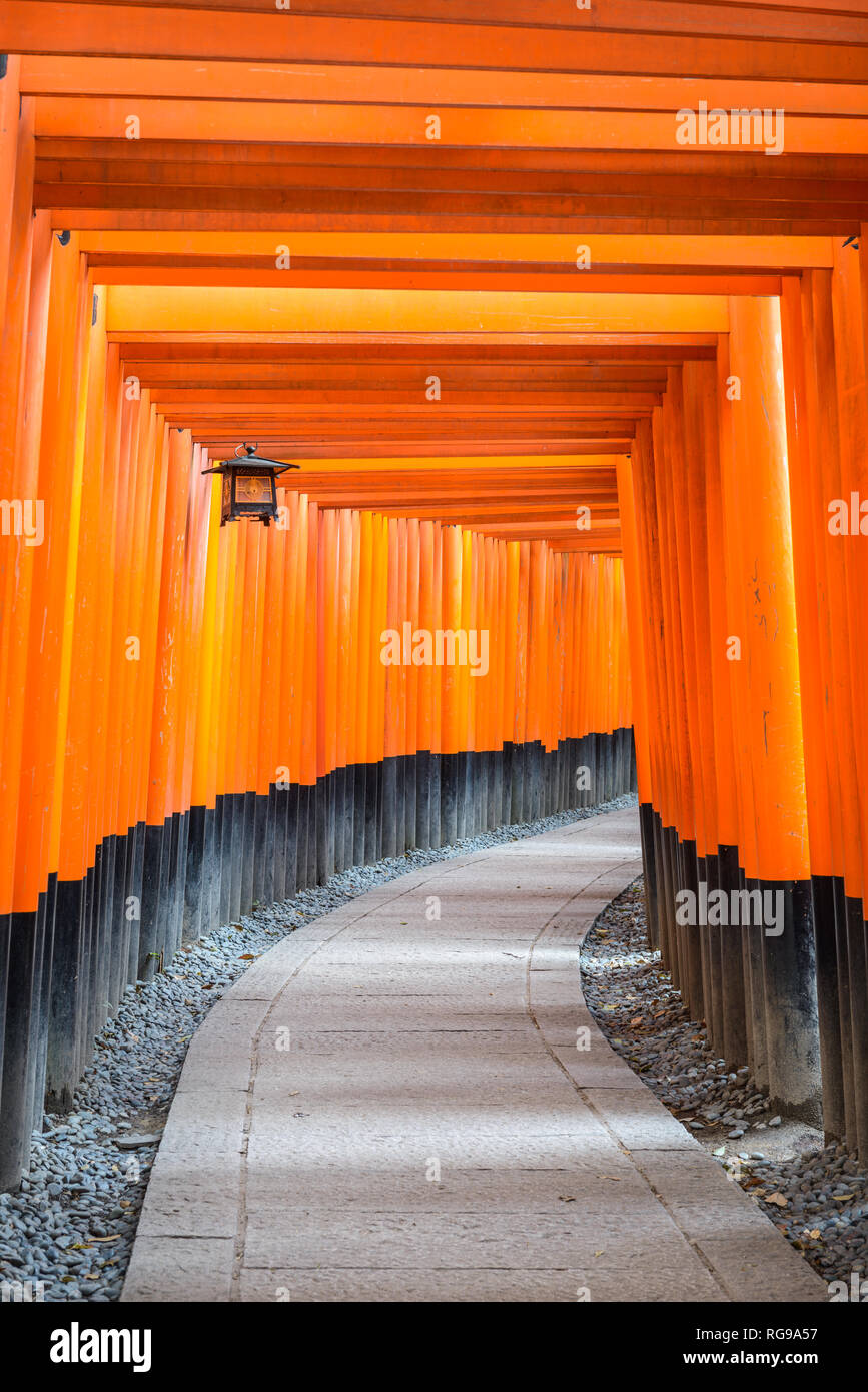 Kyoto, Japan at Fushimi Inari Shrine torii gates Stock Photo - Alamy
