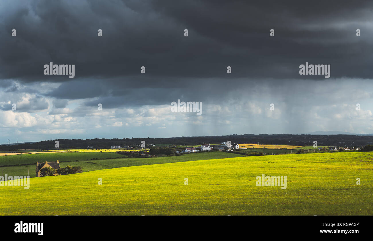 Grey rainy sky above the green meadow. Northern Ireland landscape ...