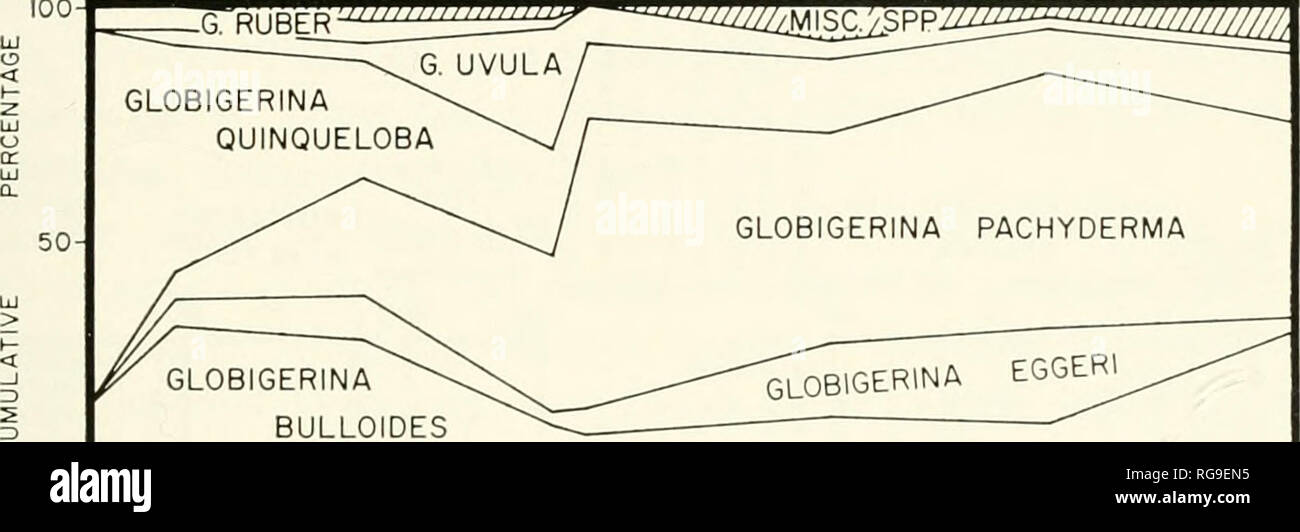 . Bulletins of American paleontology. FORAMINIFERA-MIOCENE-PUOCENE CALIFORNIA: InGLE 287 &lt;))Â»Â»Â»Â» ^m^' '&quot;'''^^mjii.iA^spmmi^mm^. â SHELF ZONE- 500 â¢BATHYAL ZONE 1000 rMETRY IN METERS ^GLOBOROTALIA HIRSUTA ^GLOBIGERINITA GLUTINATA ^GLOBIGERINELLA SIPHONIFERAâ ^GLOBOROTALIA TRUNCATULINOIDES â â ORBULINA CHAMBERS -GLOBIGERINITA HUMILUS- -GLOBOROTALIA INFLATA- GLOBOROTALOIDES HEXAGONUS GLOBOROTALIA SCITULA ^^ââ Text-figure 28.âCumulative frequency of planktonic Foraminifera within a series of progressively deeper samples off southern California (Appendix Table 6). ments at the shelf ed Stock Photo