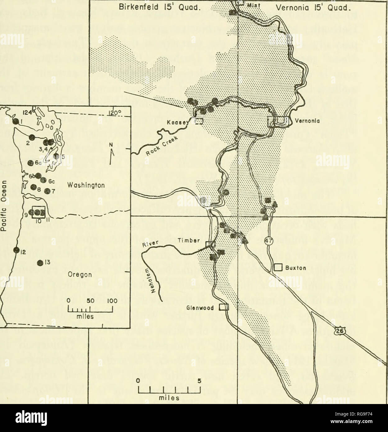 . Bulletins of American paleontology. Oregon Oligocene Turridae: Hickman -48&quot; ^â¦â^ JC Birkenfeld Vernonia 15' Quad.. Timber 15' Quad. I J R)rÂ«st Grove Forest Grove 15' Quad. Text-figure 1. â Index maps. Location of formations in the Pacific North- west referred to in text and generalized distribution of the Keasey Formation in the upper Nehalem River basin in Oregon, showing important fossiliferous outcrops in the lower (â¢), middle (â ), and upper (â ^) members. 1. Carmanah Point Beds, 2. Twin River Formation, 3. Marrowstone Shale, 4. Quimper Sand- stone, 5. Blakeley Formation, 6. Linc Stock Photo